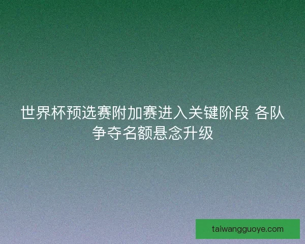 世界杯预选赛附加赛进入关键阶段 各队争夺名额悬念升级