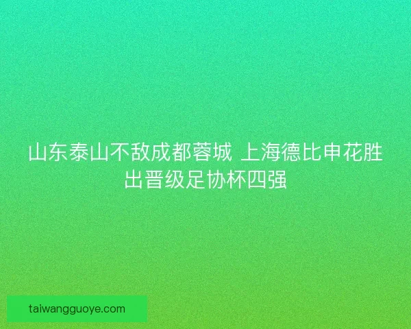 山东泰山不敌成都蓉城 上海德比申花胜出晋级足协杯四强